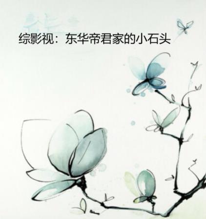 综影视：东华帝君家的小石头